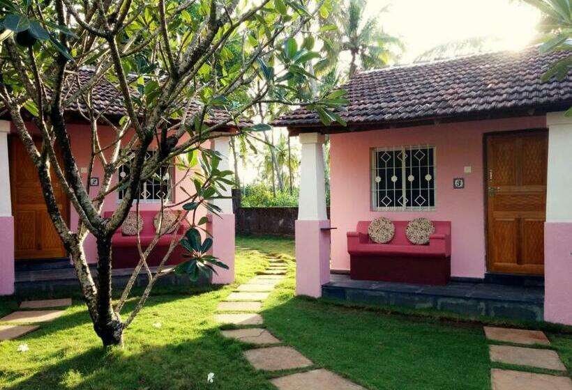 Bungalow Standard, Avalon Inn