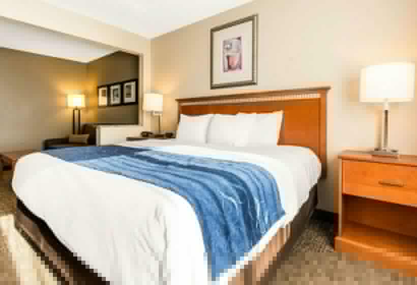 Люкс Кровать Кинг, Comfort Suites Normal University Area