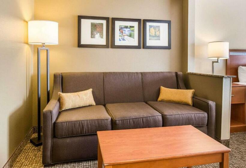 מיטת קינג בסוויטה, Comfort Suites Normal University Area