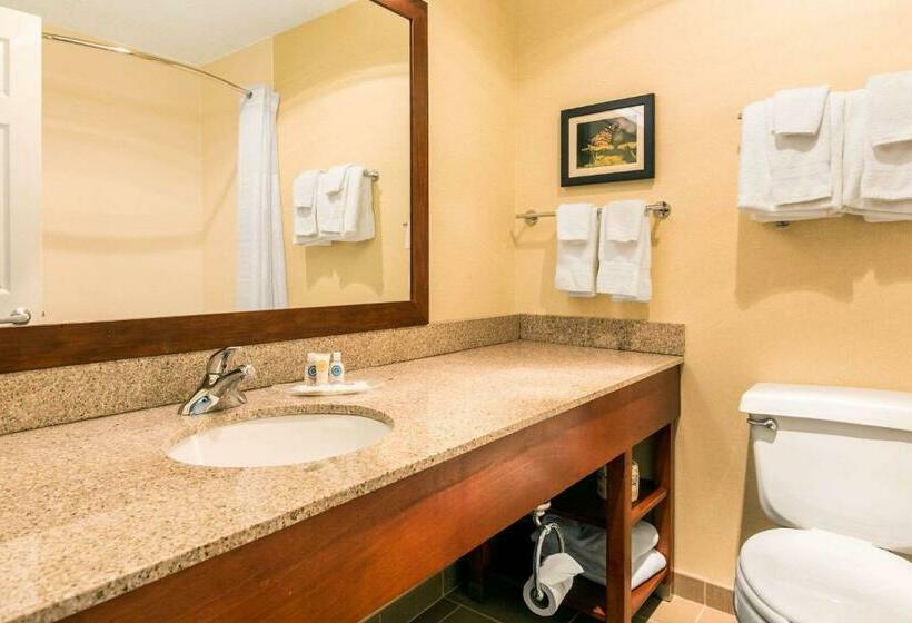 Люкс Кровать Кинг, Comfort Suites Normal University Area