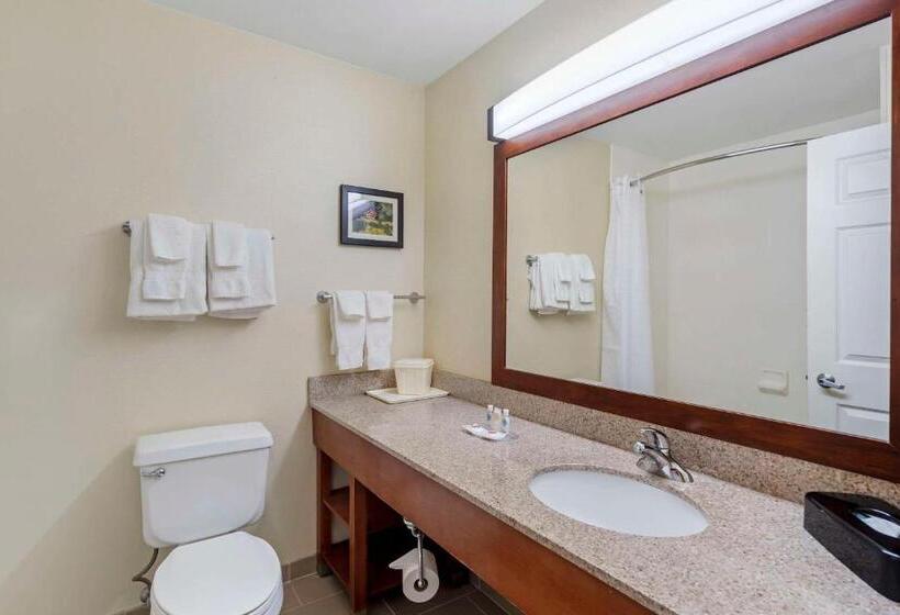 Люкс, Comfort Suites Normal University Area