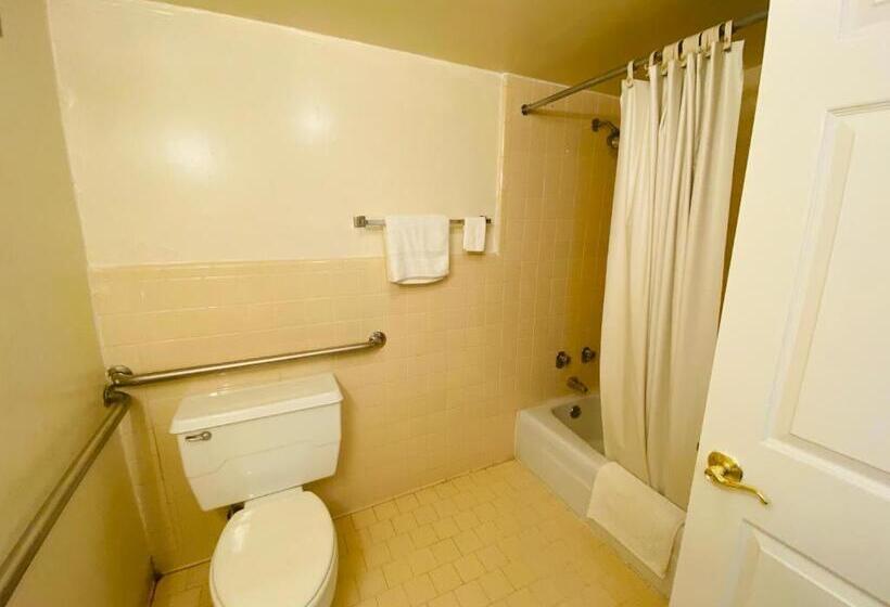 غرفة قياسية سرير كينج لذوى الإحتياجات الخاصة, Traveler's Place Inn & Suites