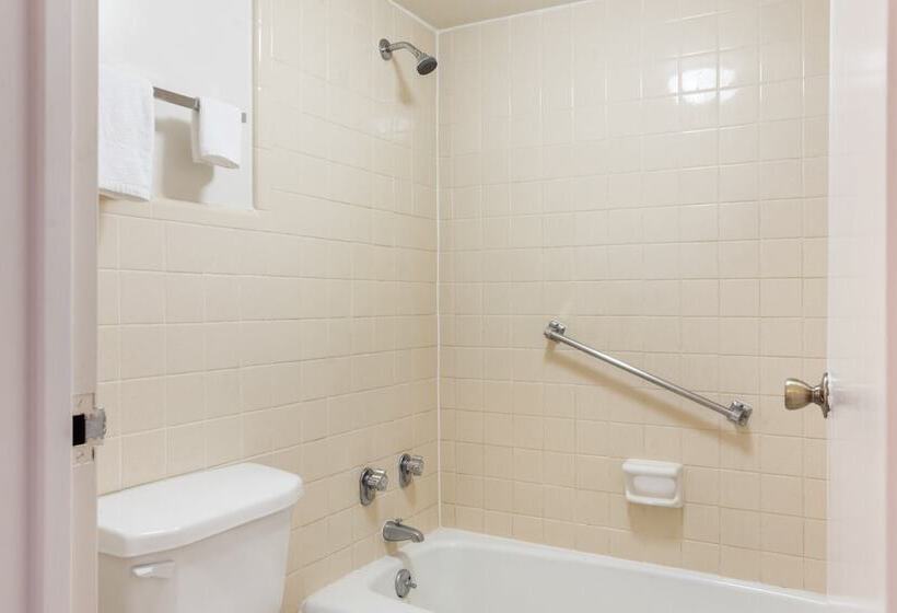 Люкс 2 Спальни, Traveler's Place Inn & Suites