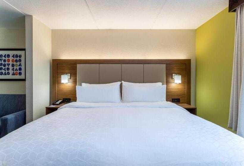 장애인을 위한 킹사이즈 침대 스탠다드 룸, Holiday Inn Express & Suites Cedar Falls   Waterloo, An Ihg