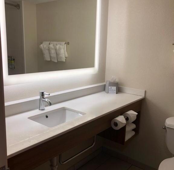 장애인을 위한 킹사이즈 침대 스탠다드 룸, Holiday Inn Express & Suites Cedar Falls   Waterloo, An Ihg