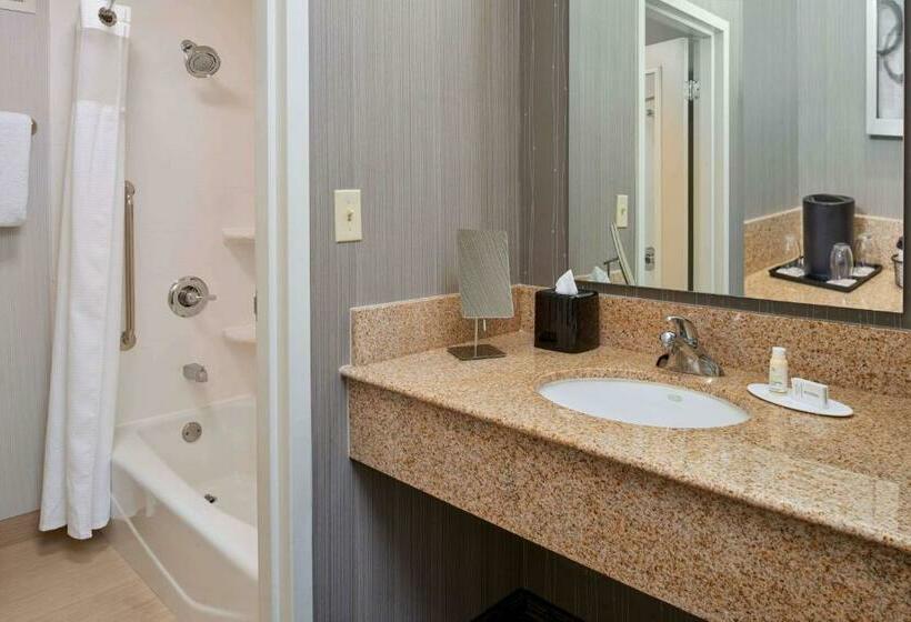 חדר סטנדרט עם מיטת קינג, Sonesta Select Indianapolis Carmel