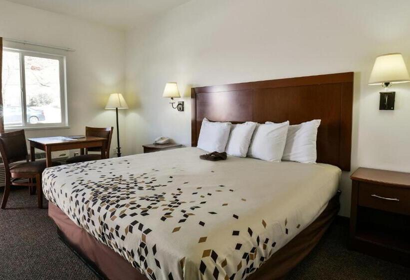 Люкс Deluxe Кровать Кинг, Adventure Inn Moab