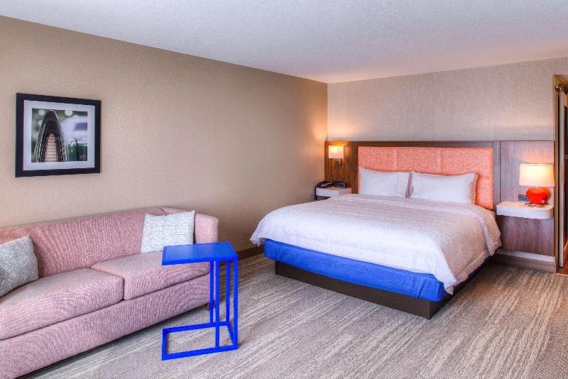 带大床的标准间, Hampton Inn & Suites Wixom