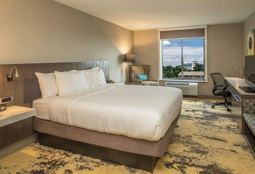 Номер Стандарт Кровать Кинг Адаптированный для Инвалидов, Hilton Garden Inn Pittsburgh Airport