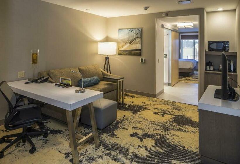 Полулюкс, Hilton Garden Inn Pittsburgh Airport