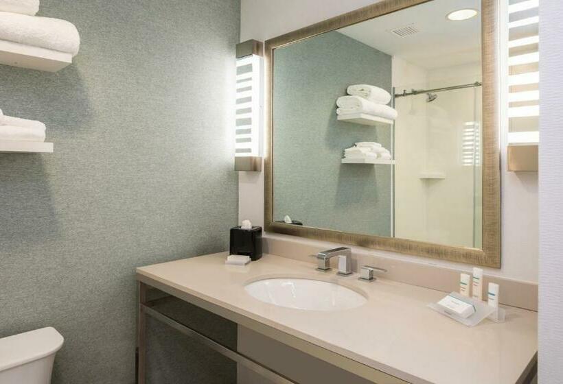 Полулюкс, Hilton Garden Inn Pittsburgh Airport