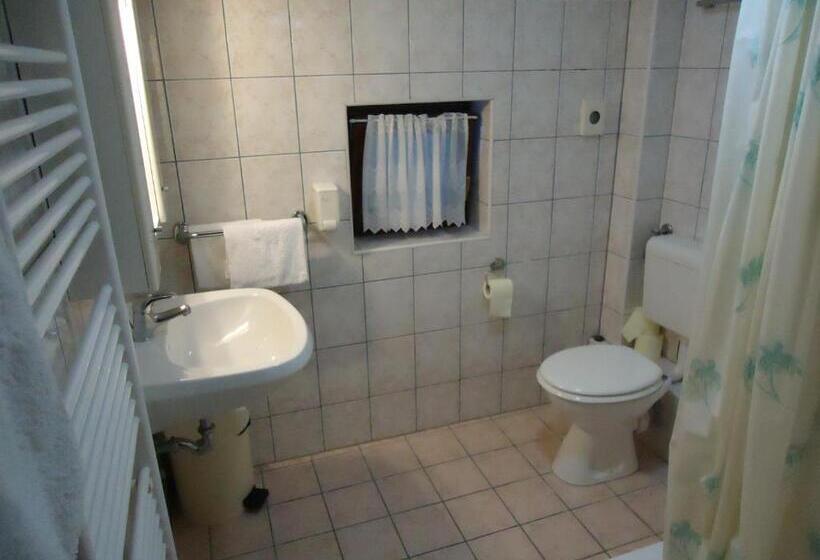 スタンダードシングルルーム, Pansion Antonio