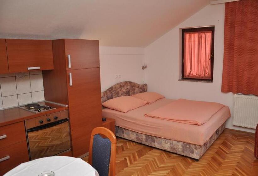 Номер Стандарт, Pansion Antonio