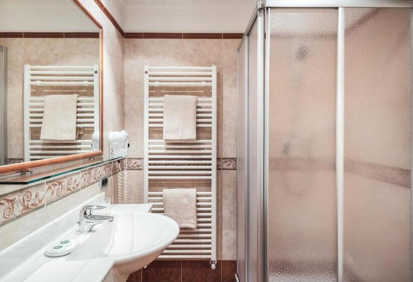 اتاق استاندارد یک نفره, Berghotel Majarei