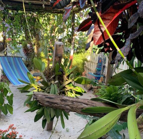 スタンダードルーム, All Seasons Belize