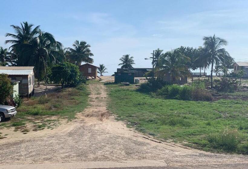 デラックスルーム, All Seasons Belize