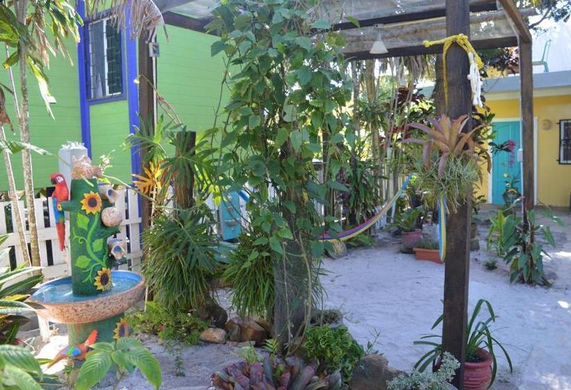 スタンダードルーム, All Seasons Belize