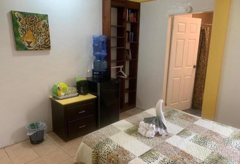 デラックスルーム, All Seasons Belize