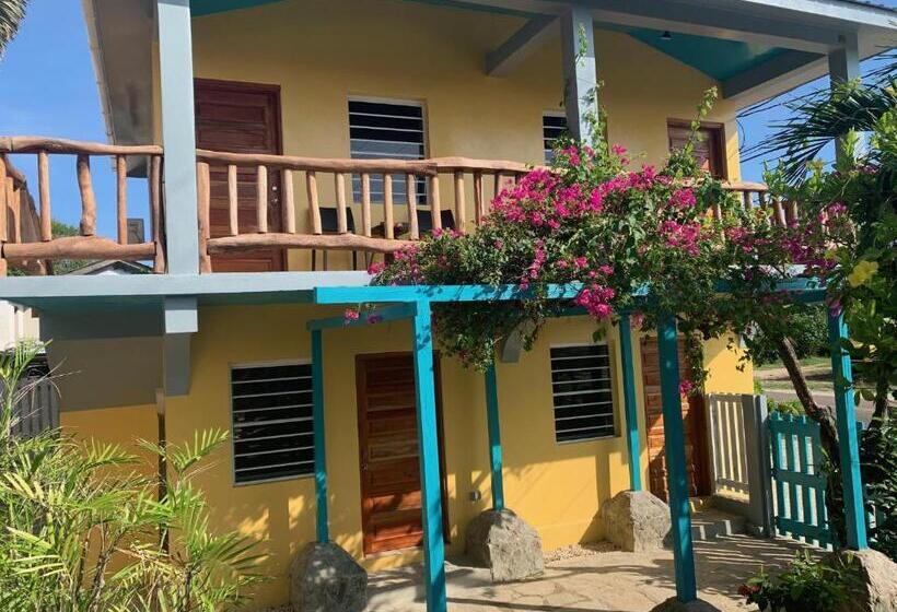オーシャンビューデラックスルーム, All Seasons Belize