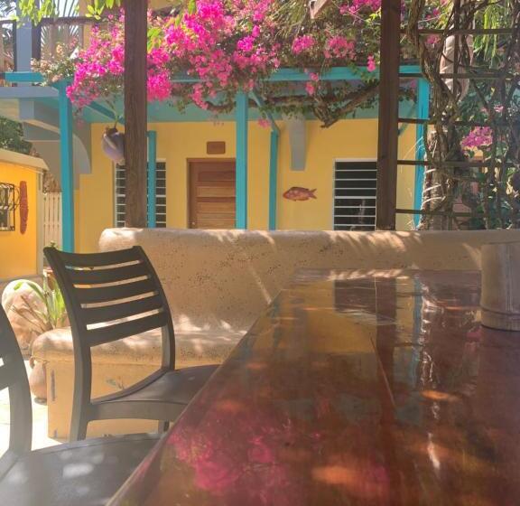 スタンダードルーム, All Seasons Belize