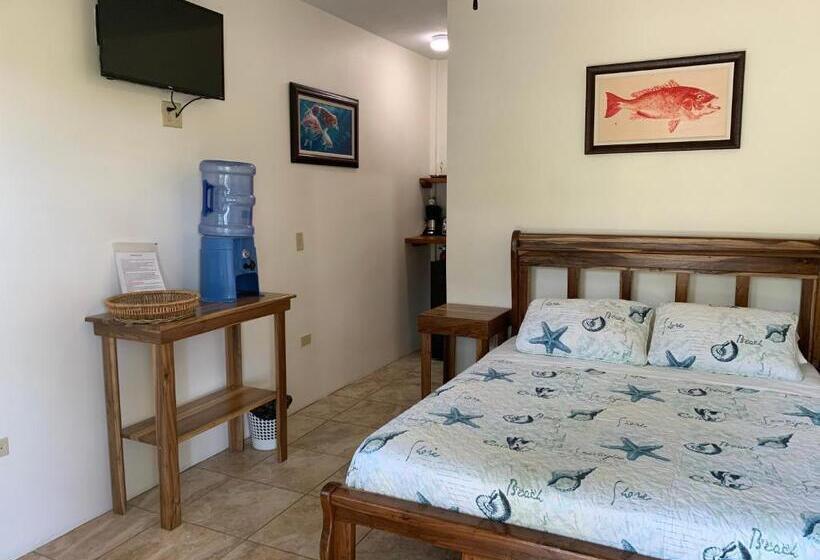 デラックスルーム, All Seasons Belize