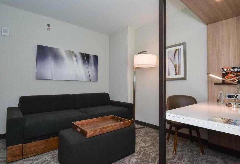 Студия Стандарт, Springhill Suites By Marriott Charlotte City Center