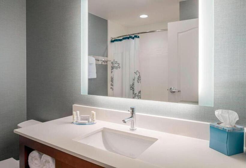 Люкс Кровать Кинг, Residence Inn By Marriott Wheeling/st. Clairsville