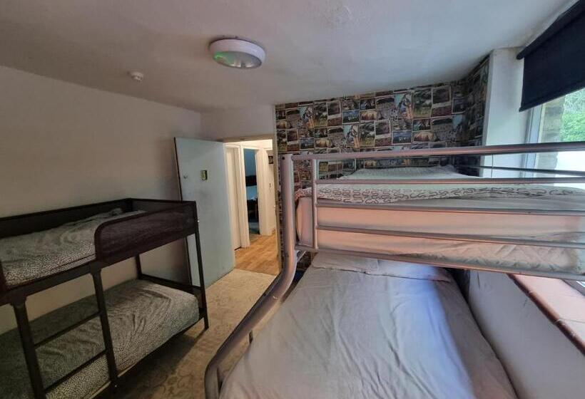 اتاق خانوادگی با چشم‌انداز باغ, First And Last Youth Hostel