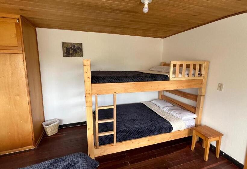 Семейный Номер Совместный Санузел, Güicani Hostel