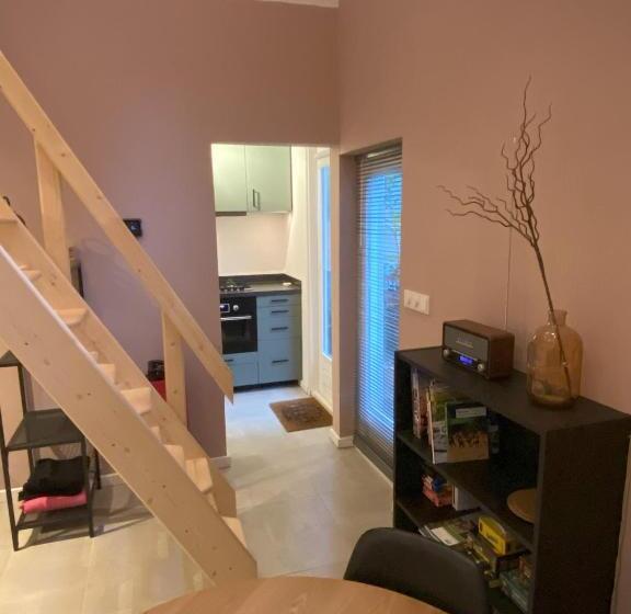 스탠다드 스튜디오, B&b In De Aap Gelogeerd