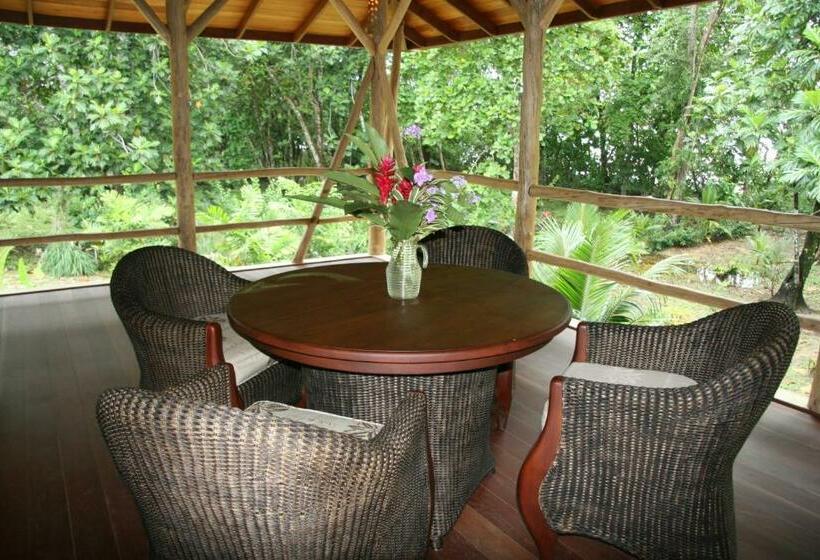 جناح ديلوكس مطل على البحر, Bluff Beach Retreat