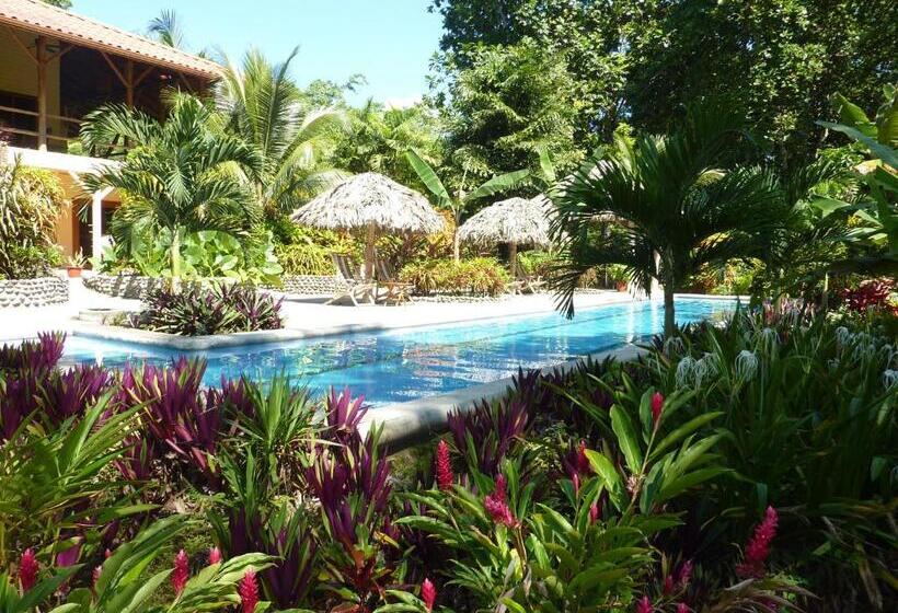 جناح ديلوكس مطل على البحر, Bluff Beach Retreat