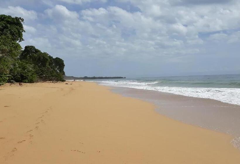 غرفة ديلوكس مطلّة علي الحديقة, Bluff Beach Retreat