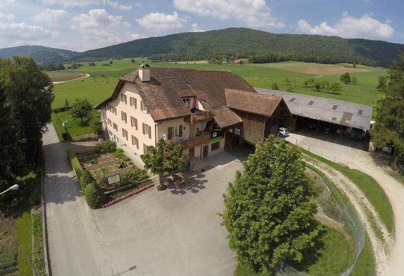 Номер Стандарт Индивидуальный, Hôtel Gîte Rural à 3 Km De Delémont