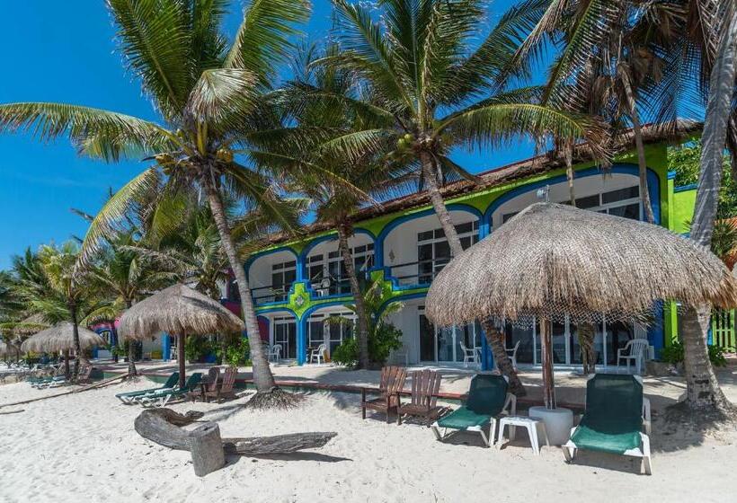 １ベッドルームのデラックスアパートメント, Del Sol Beachfront