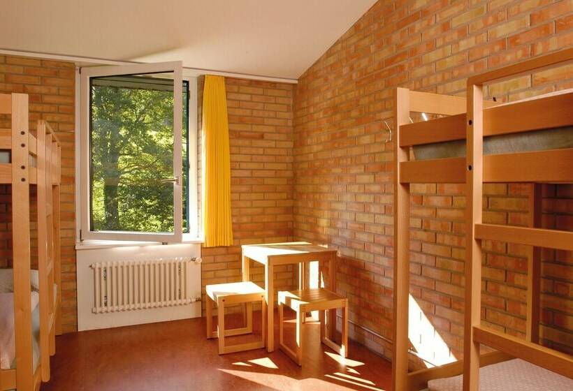 标准四人间共用浴室, St. Gallen Youth Hostel