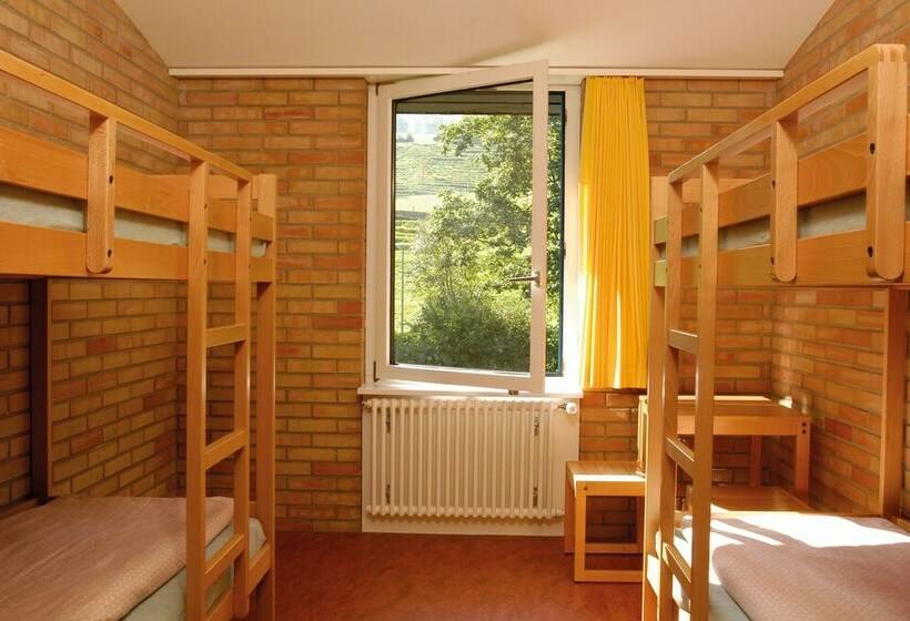 标准单人间共用浴室, St. Gallen Youth Hostel