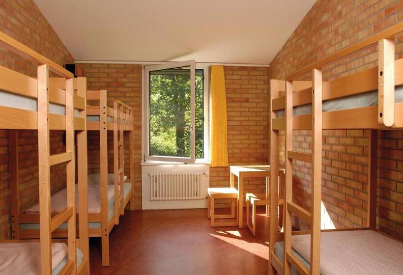共用房间的床, St. Gallen Youth Hostel