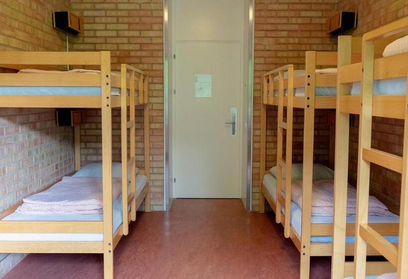 带共用浴室的标准房间, St. Gallen Youth Hostel