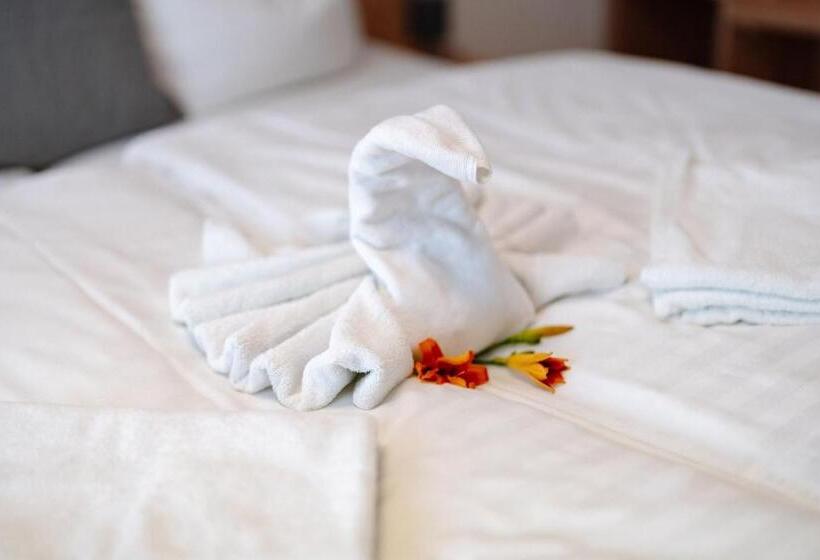 Номер Стандартный с Видом, Sonnenschein Hotel & Apartments