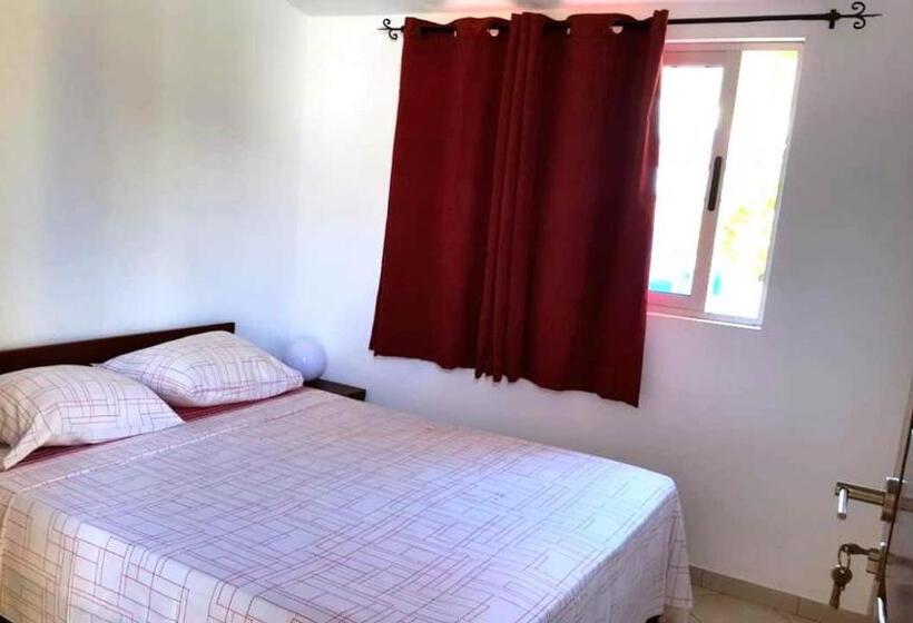 Suite with Terrace, Basic