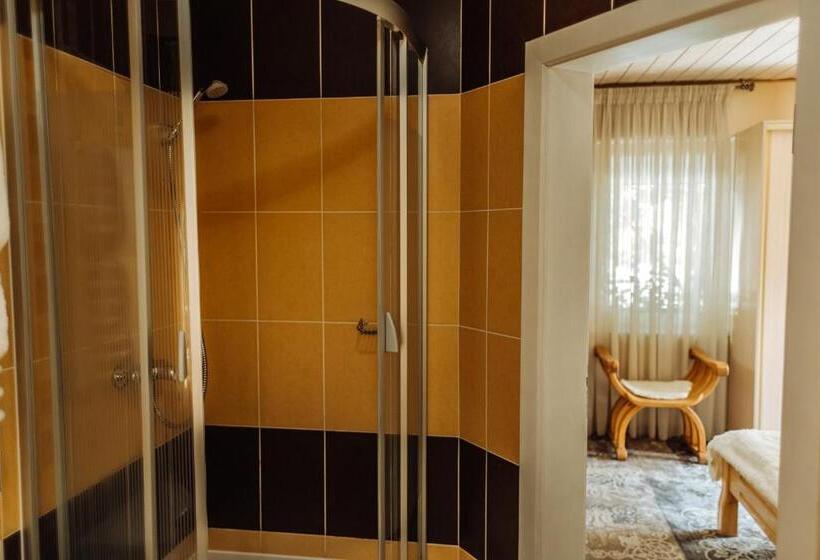 اتاق استاندارد با وان آب گرم, Velyka Vedmedytsya