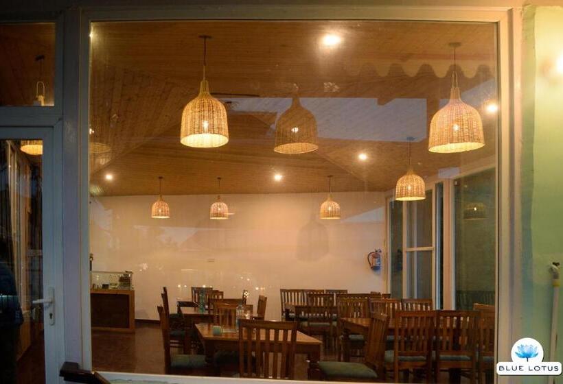 스탠다드 룸 킹사이즈 침대, Blue Lotus Resort