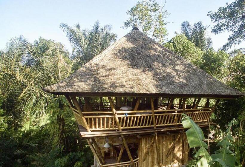 1间卧室的房子, Alassari Plantation