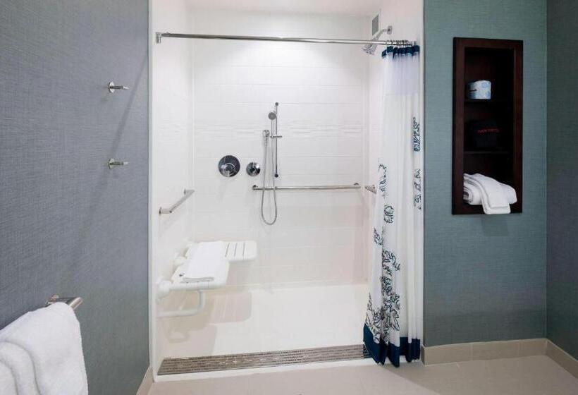 Студио Стандарт Кровать Кинг, Residence Inn By Marriott Clearwater Beach