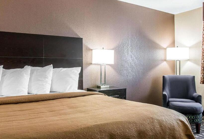 Стандартный Номер Кровать Кинг, Quality Inn Grand Rapids South Byron Center