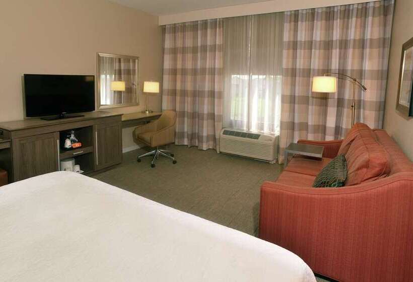 חדר סטנדרט עם מיטת קינג, Hampton Inn & Suites Mission Viejo