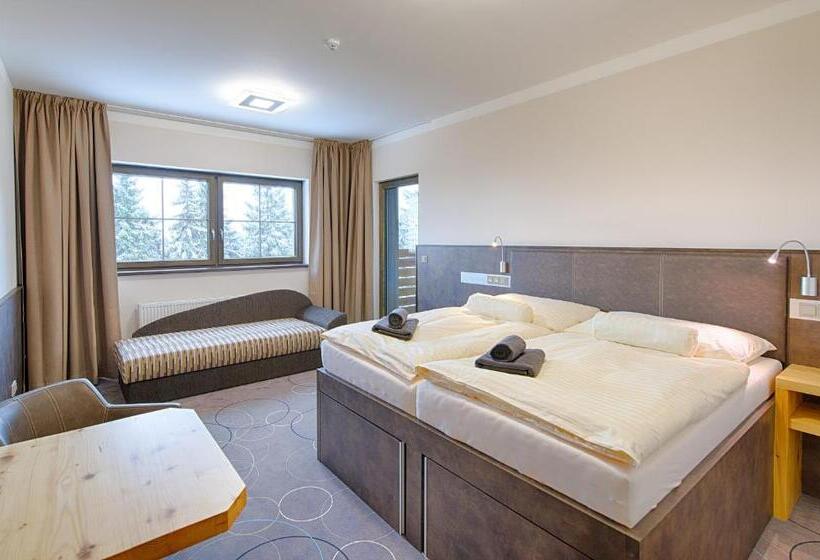 스탠다드 스튜디오, Apartment Hotel Orion