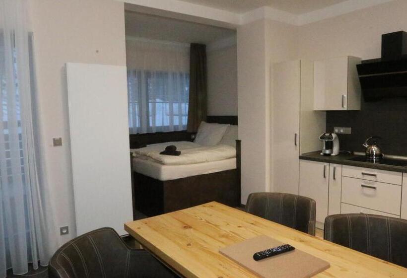 스탠다드 스튜디오 (테라스구비), Apartment Hotel Orion