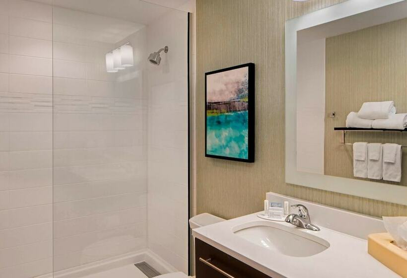 Студия Стандарт, Towneplace Suites By Marriott Foley At Owa